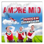 27-12-2013 - reinhard_meynen - DIE JUNGEN ZILLERTALER.jpg